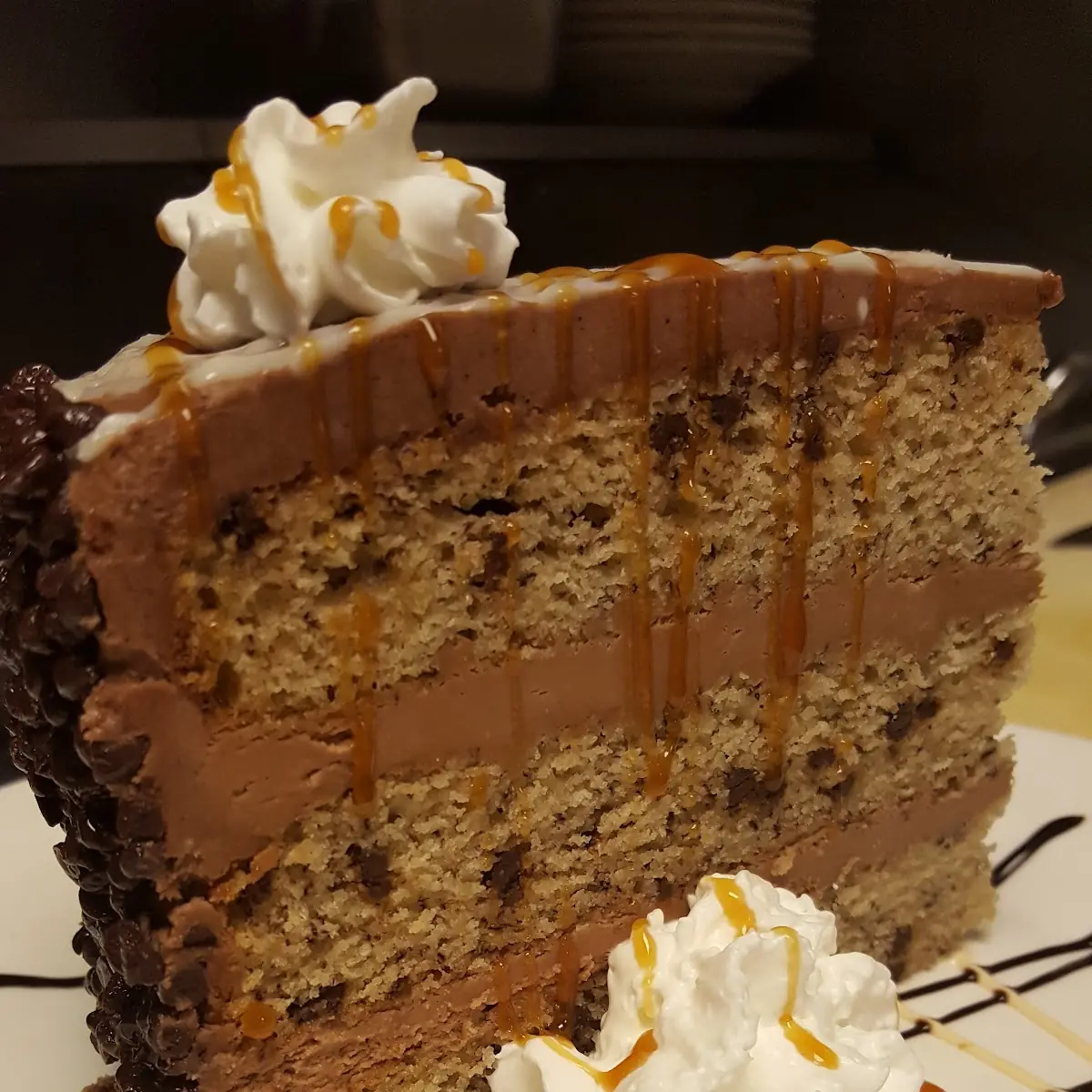 Chocolate Chip Cake