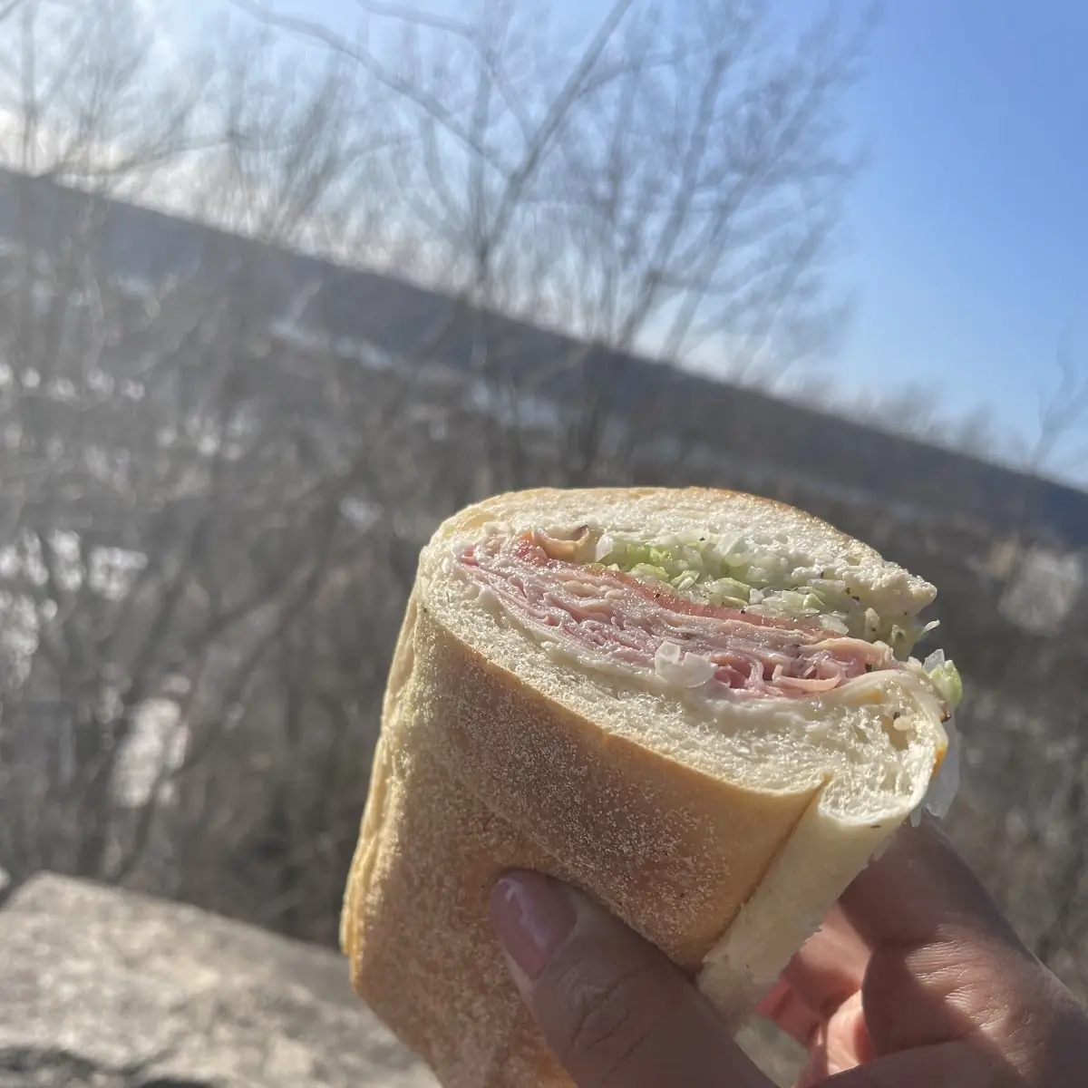 Ham and Cheese Sandwich