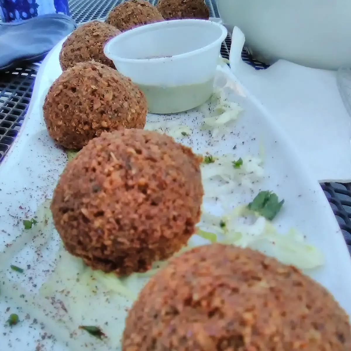 Falafel Appetizer Platter
