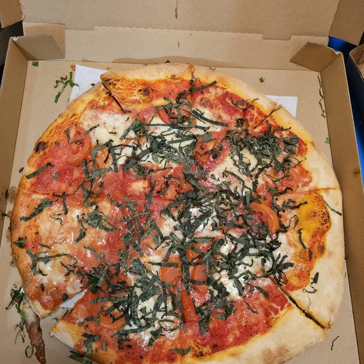 16-In Margarita Pizza