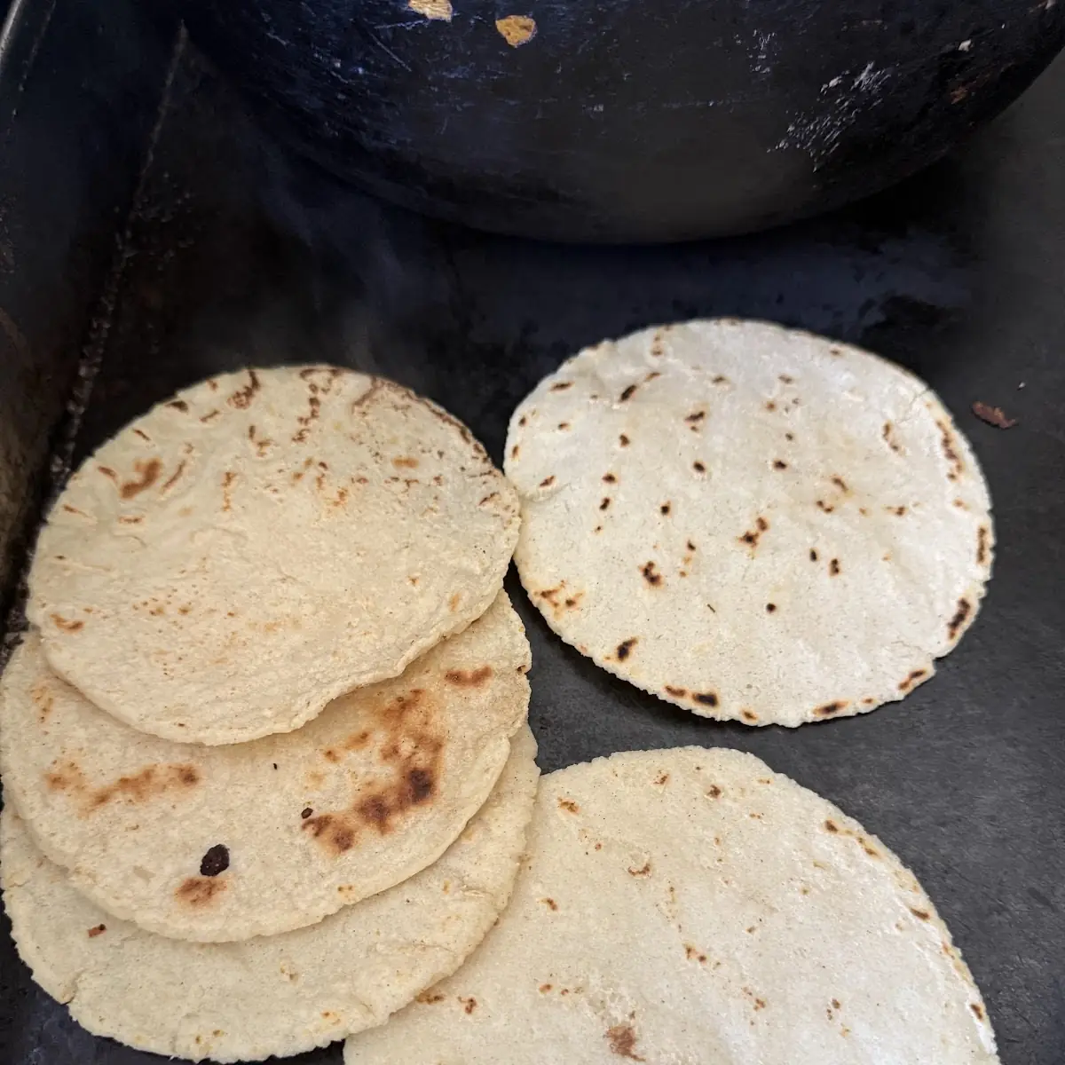 Corn Tortilla