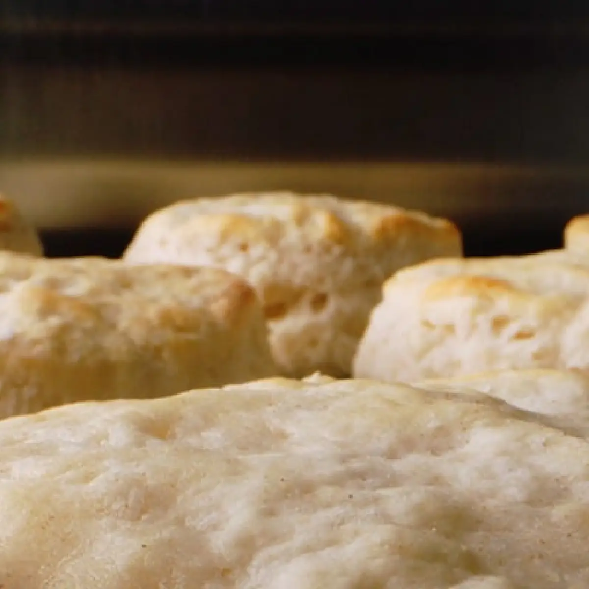 Prime Rib Biscuit