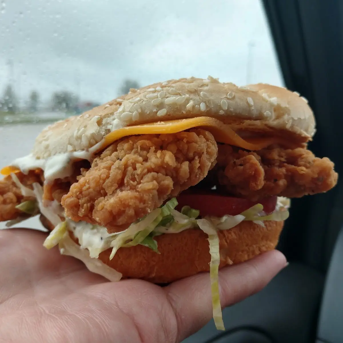 Chicken Cheddar Cheese Sandwich