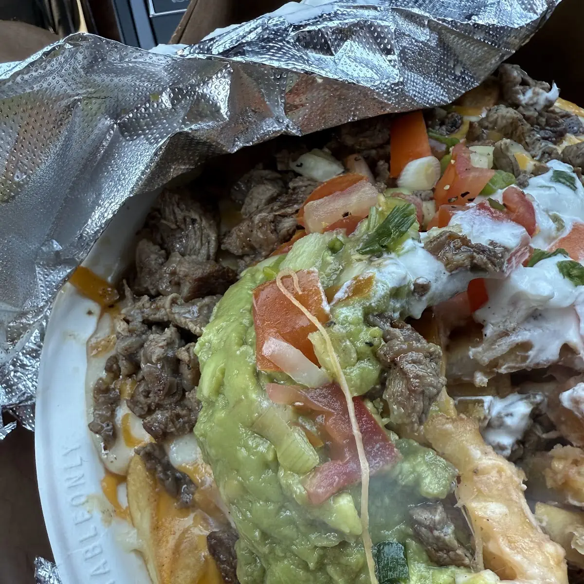 Carne Asada Fries