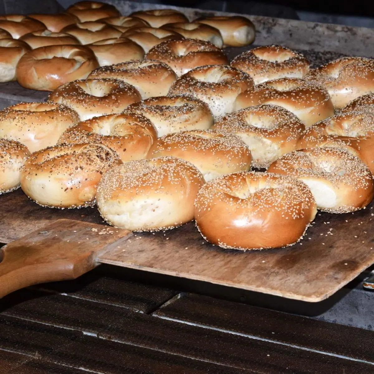 Dozen Bagels 13