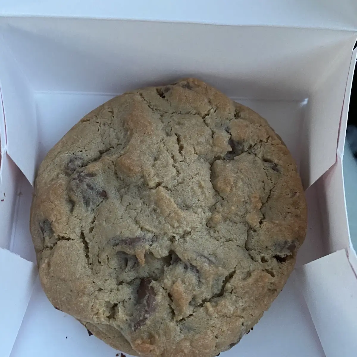 Milk Chocolate Chip