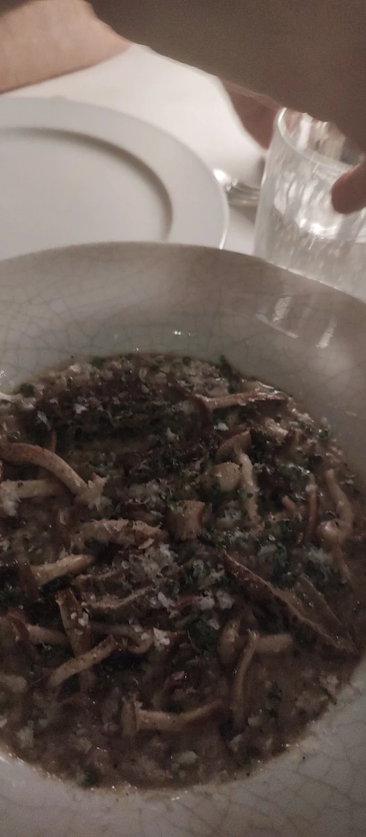Mushroom Risotto