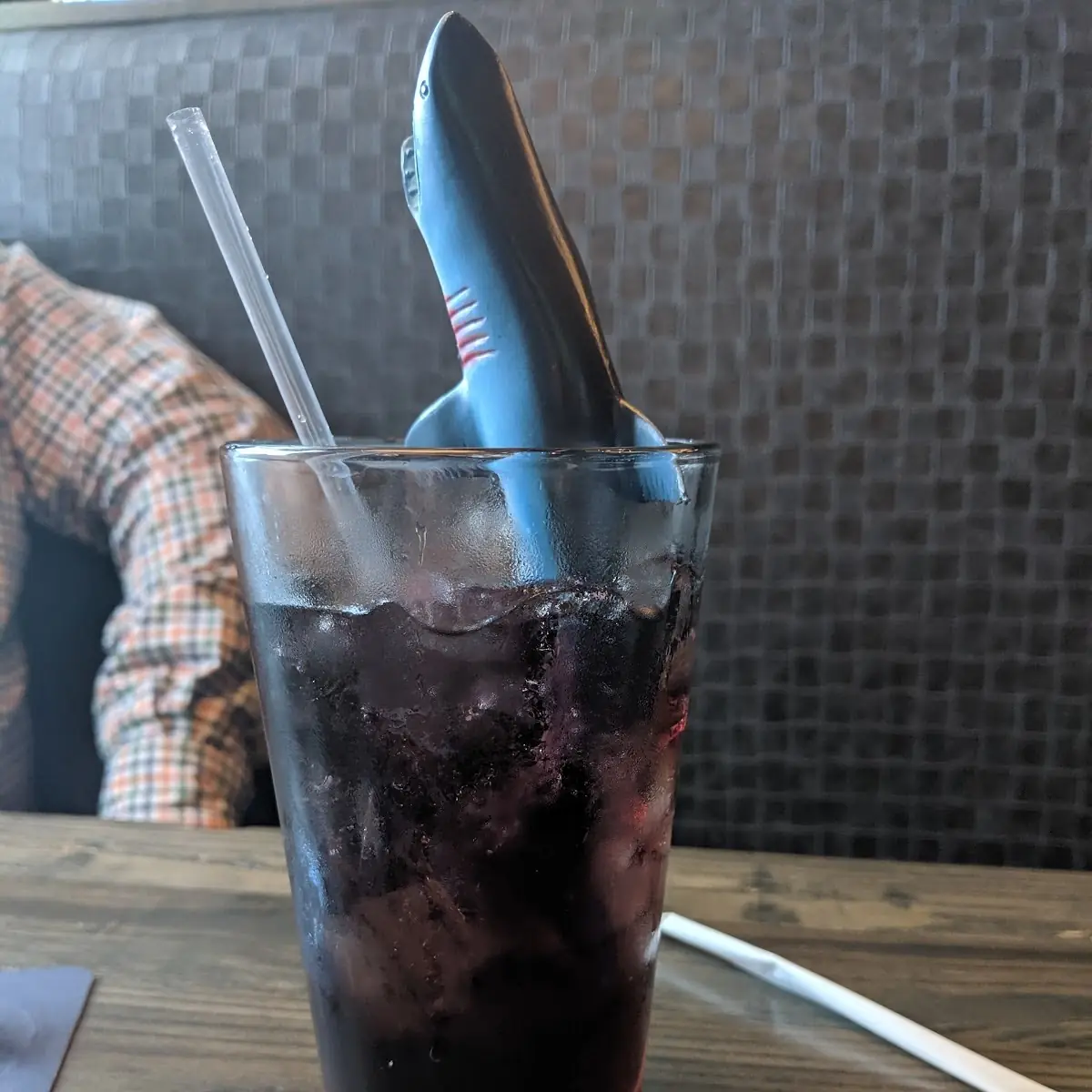 Shark Bite