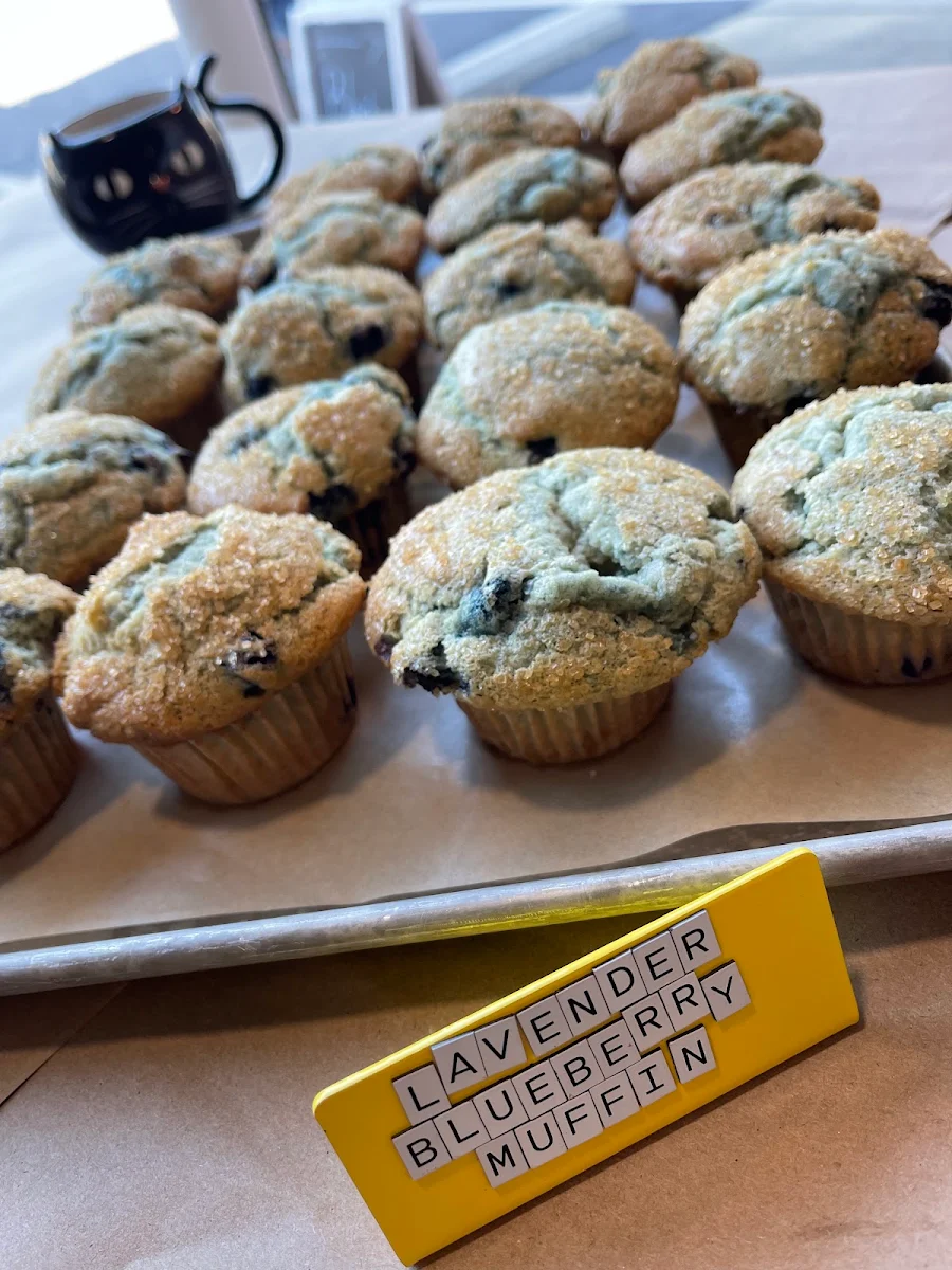 Lavender Blueberry Muffin