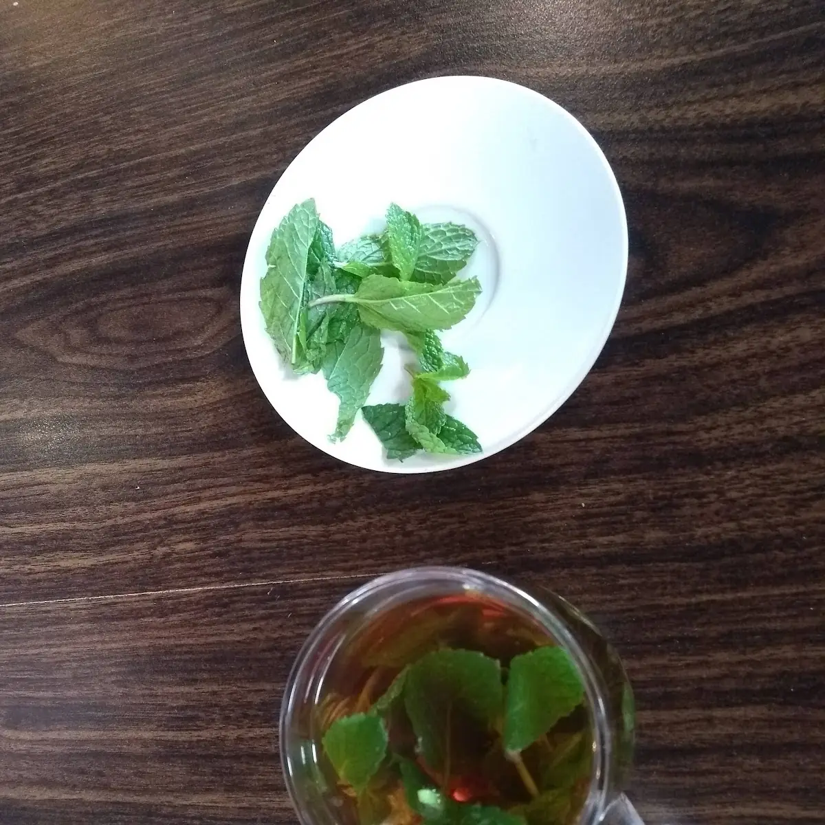 Hot Tea Mint & Nabat