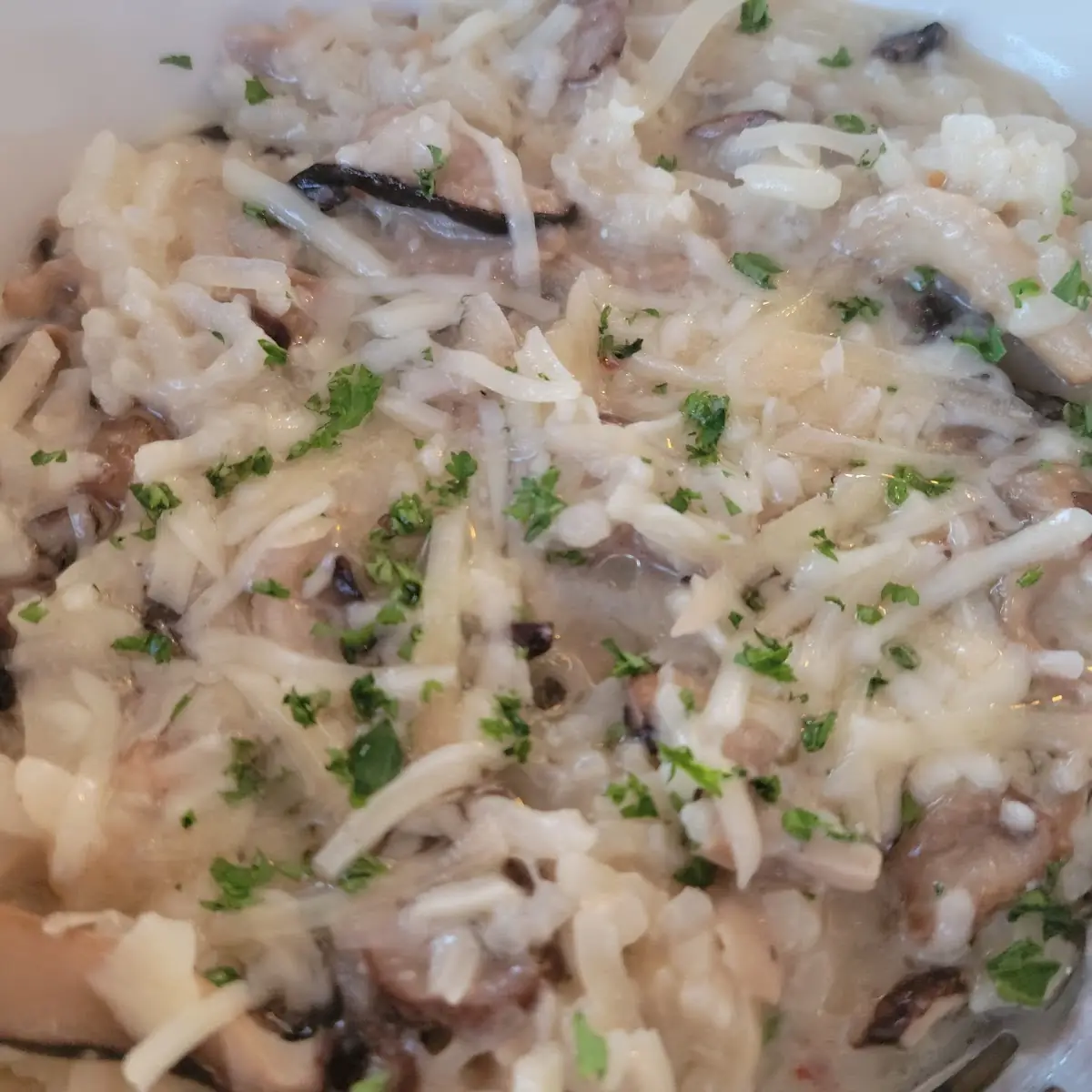 Wild Mushroom Risotto
