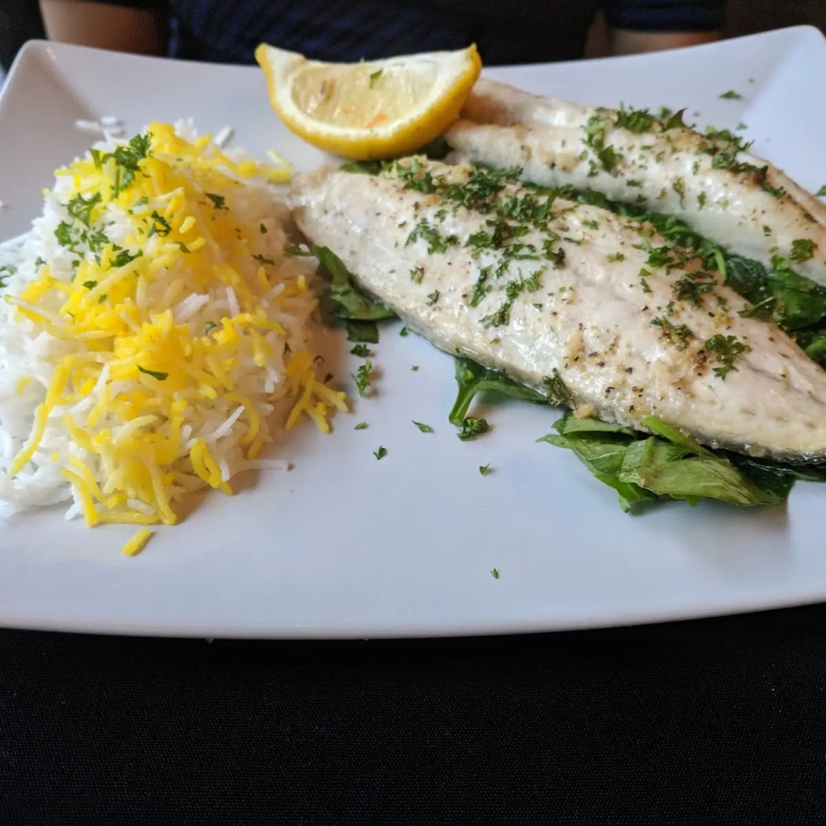 Mediterranean Sea Bass