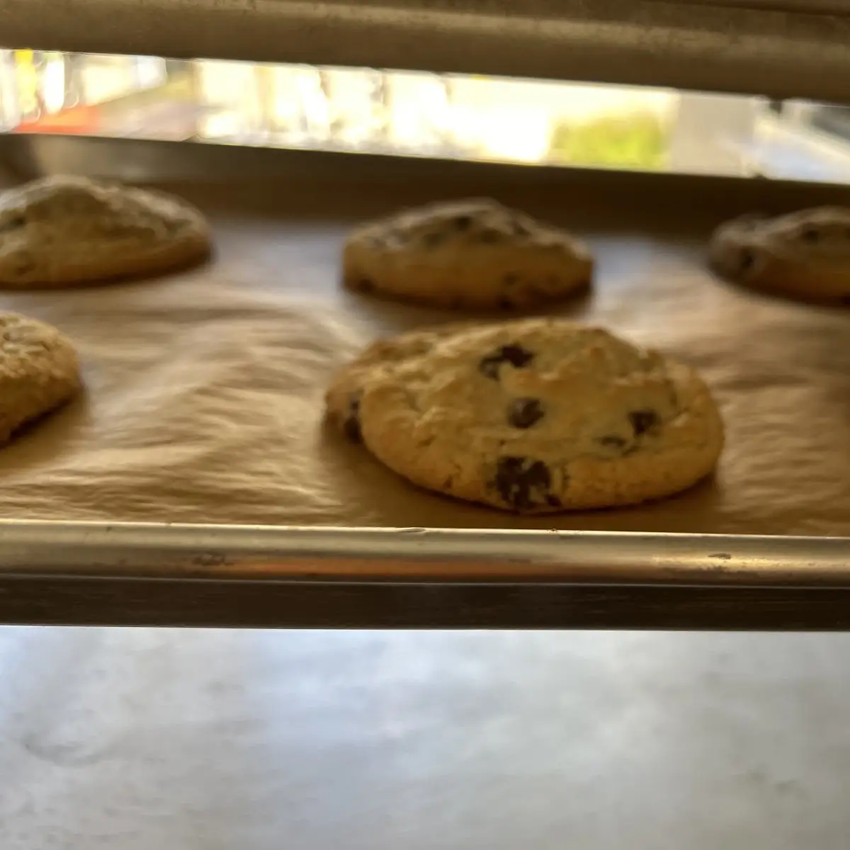 Chocolate Chip Cookie