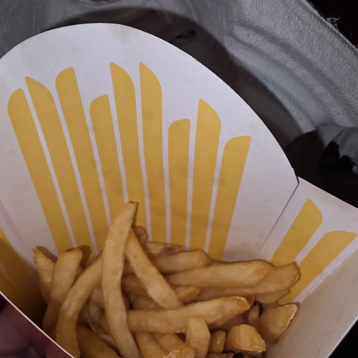 World Famous Fries