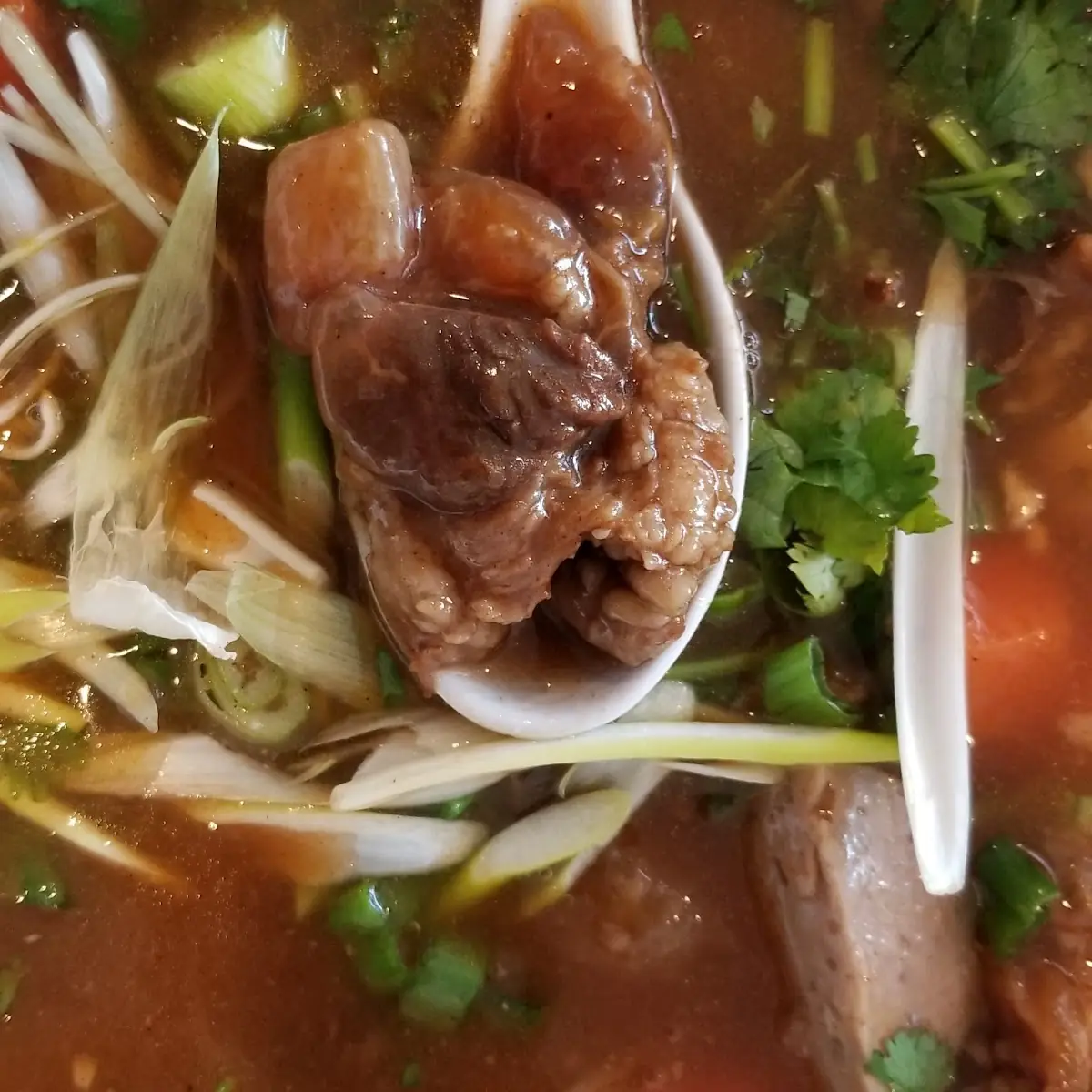 Hủ Tiếu Bò Kho