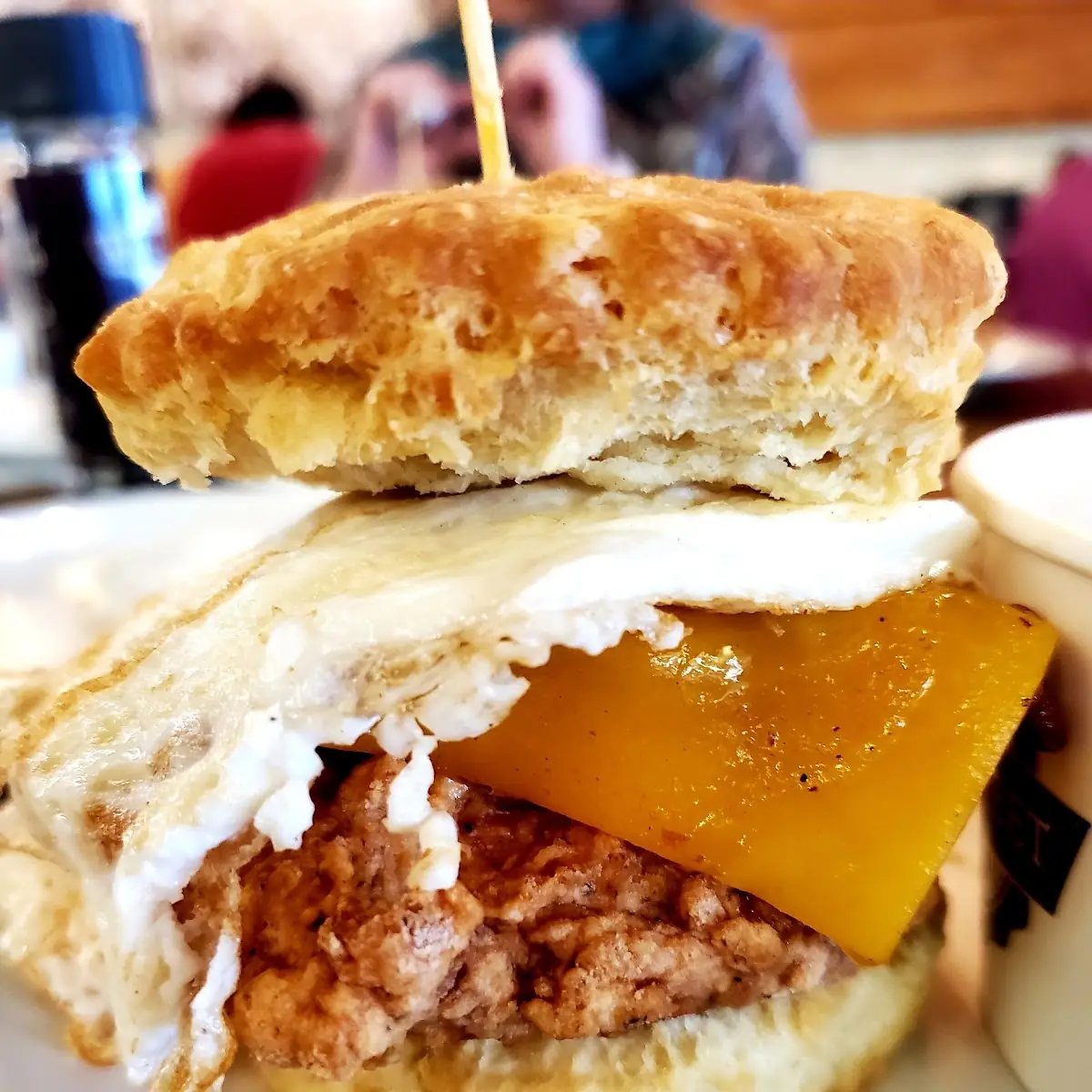 Chicken Biscuit