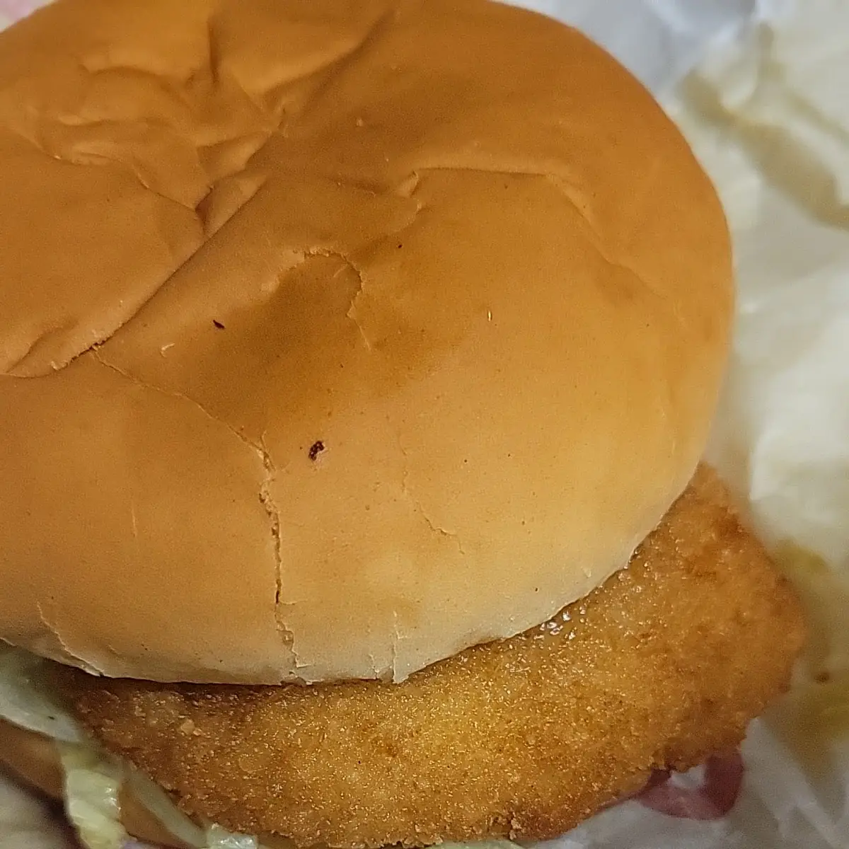 Steak Burger Patty