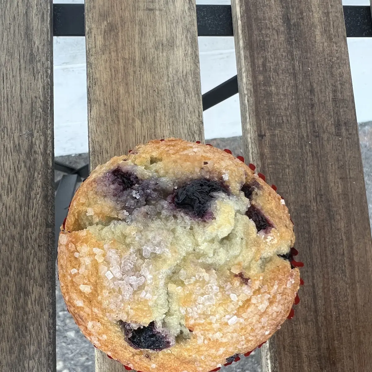 Blueberry Muffin