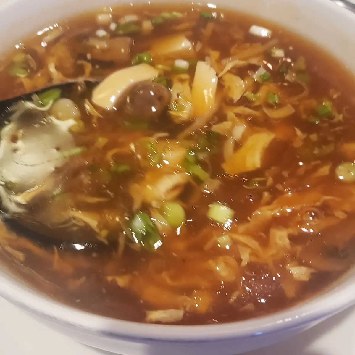 Hot and Sour Soup