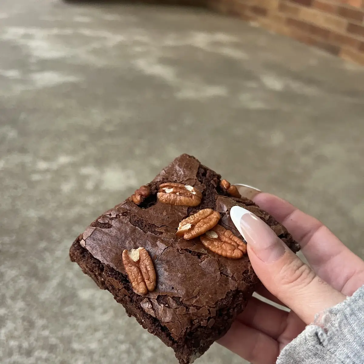 Chocolate Brownie