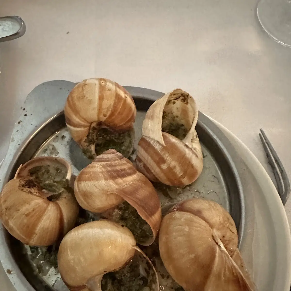 Helix Escargot