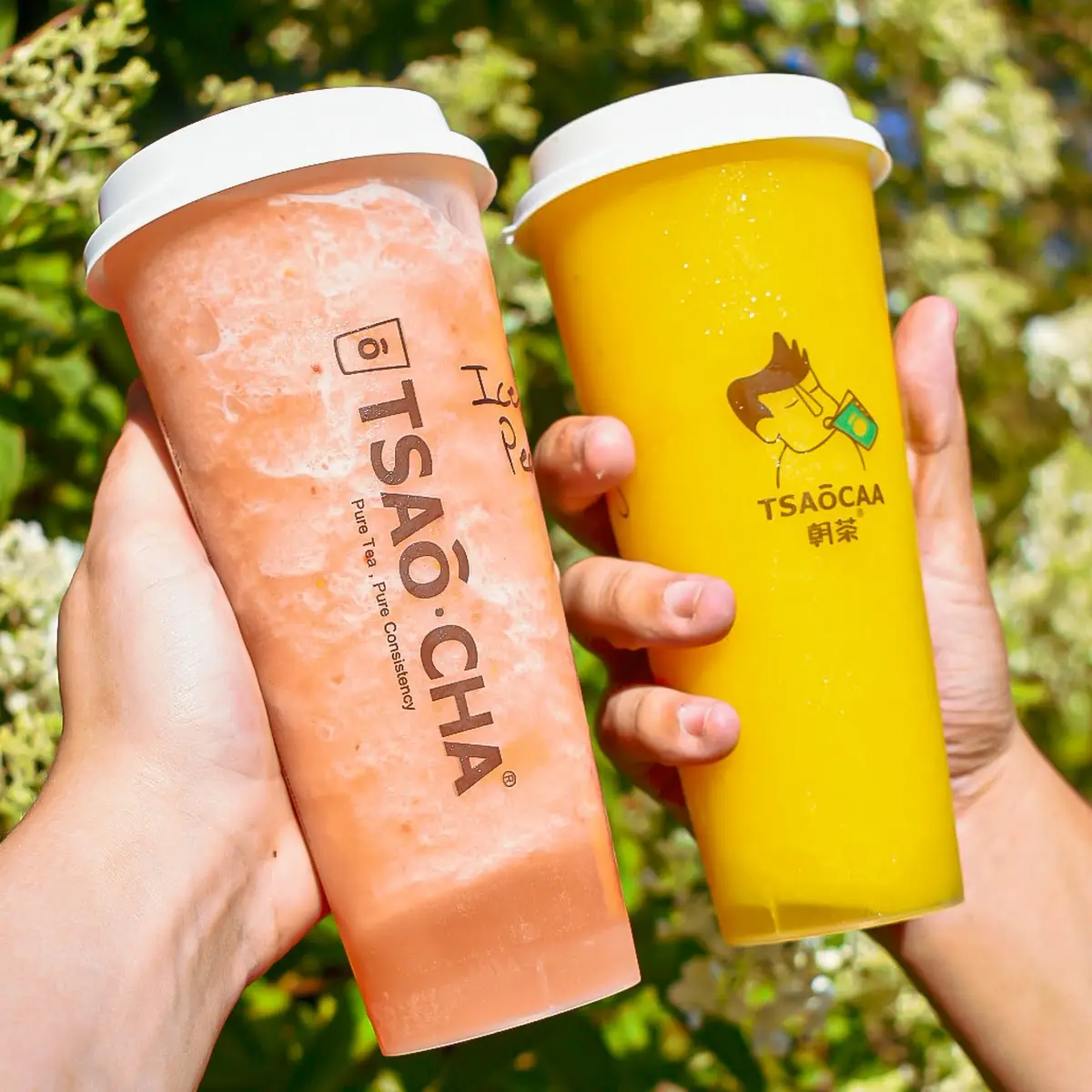 Iced Peach & Iced Mango Green Tea