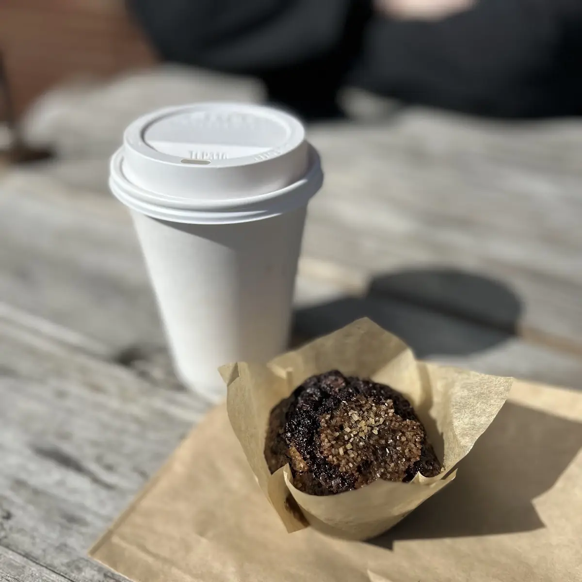 Double Chocolate Muffin