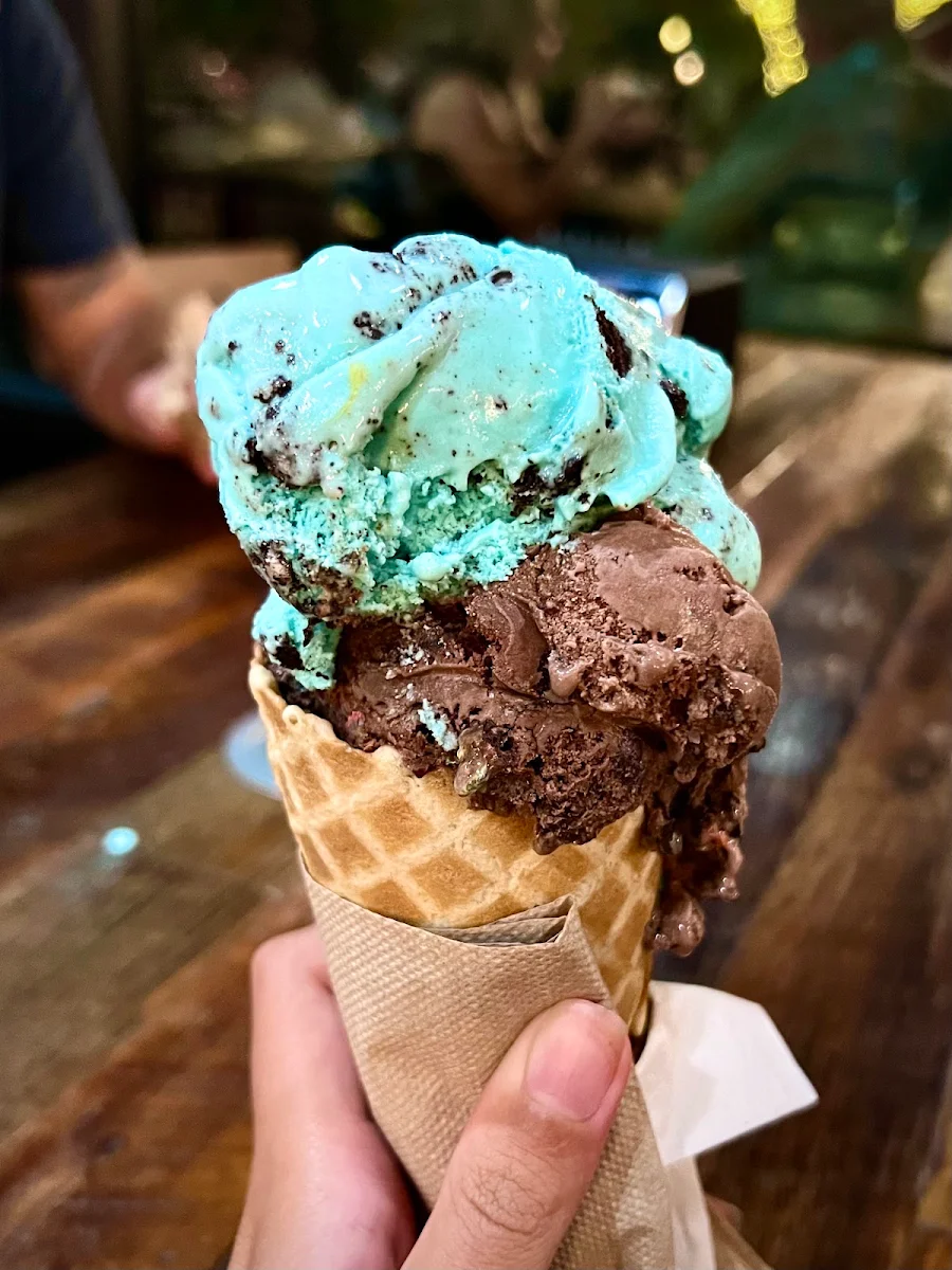 Cookie Monster and Chocolate Ice Cream