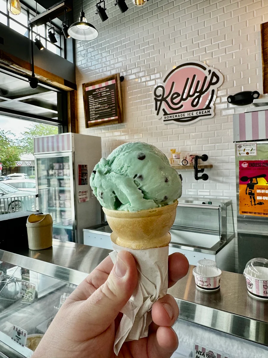 Mint Chocolate Chip Ice Cream Cone