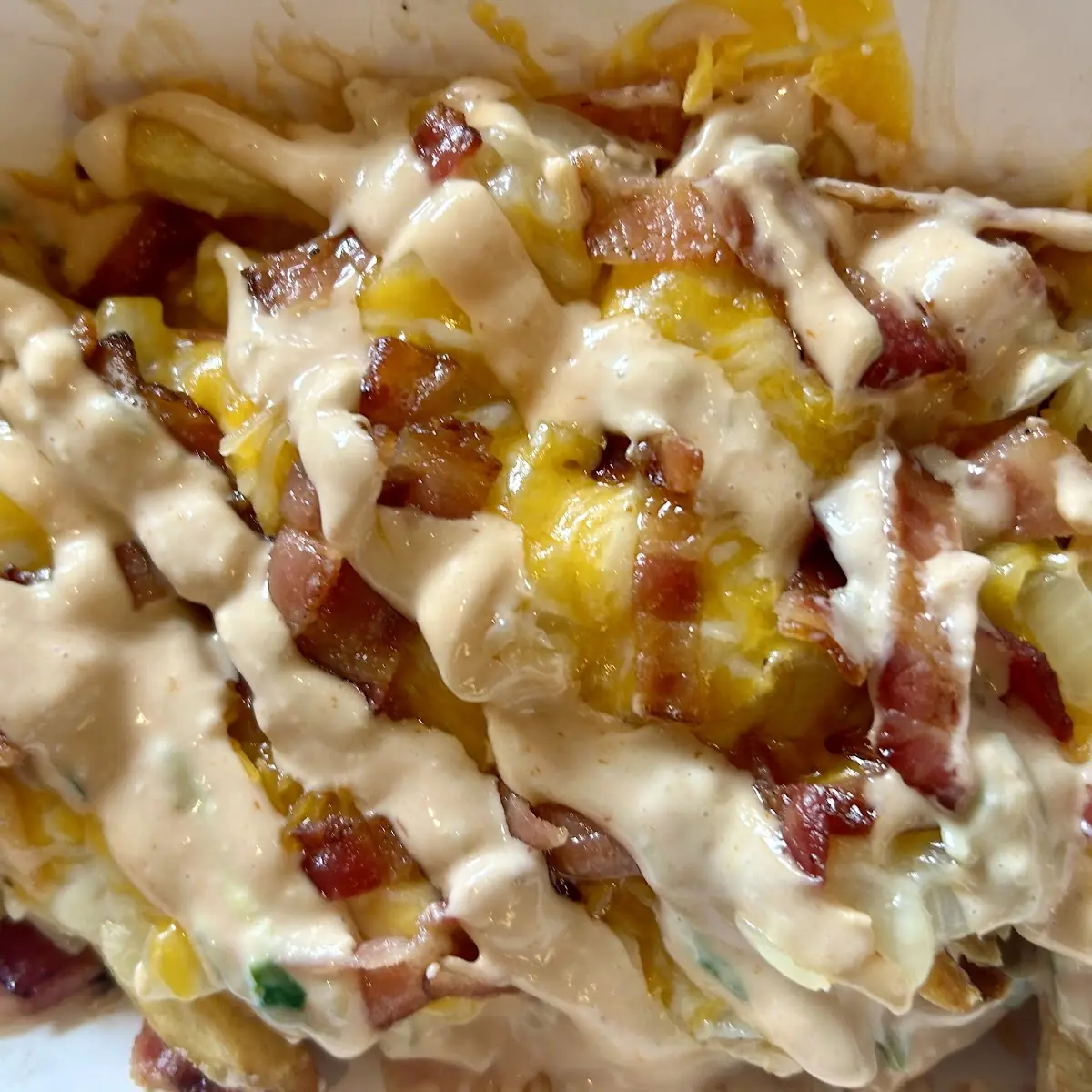 Fries with Cheese Fries