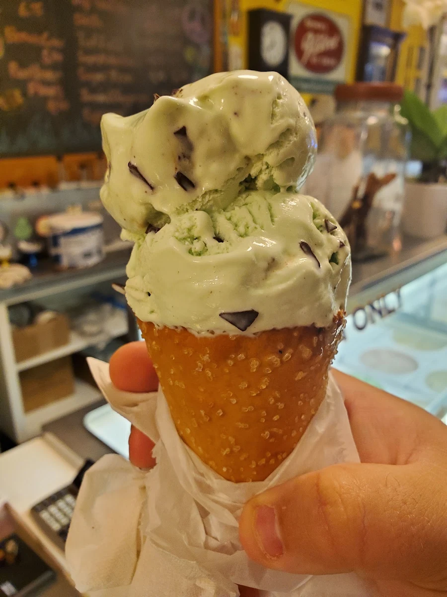 Mint Chocolate Chip Pretzel Cone