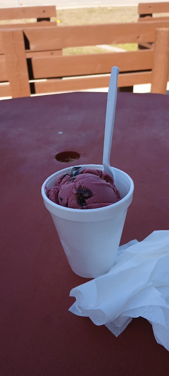 Sugar Free Black Cherry Ice Cream