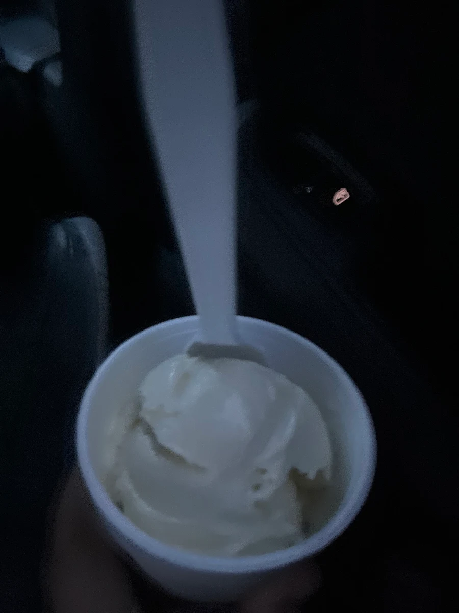 Vanilla Ice Cream