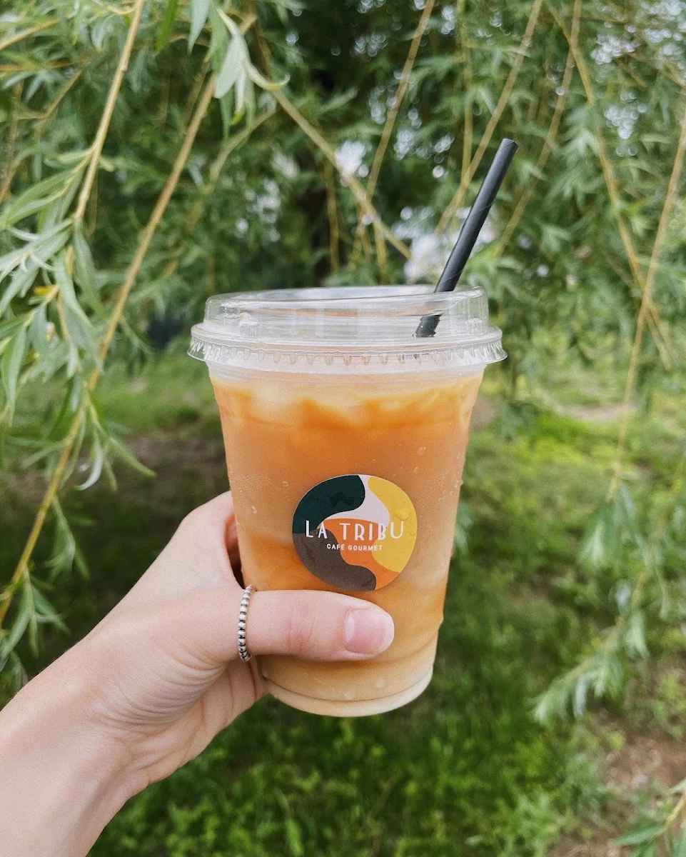 Highlights, La Tribu - Café Gourmet