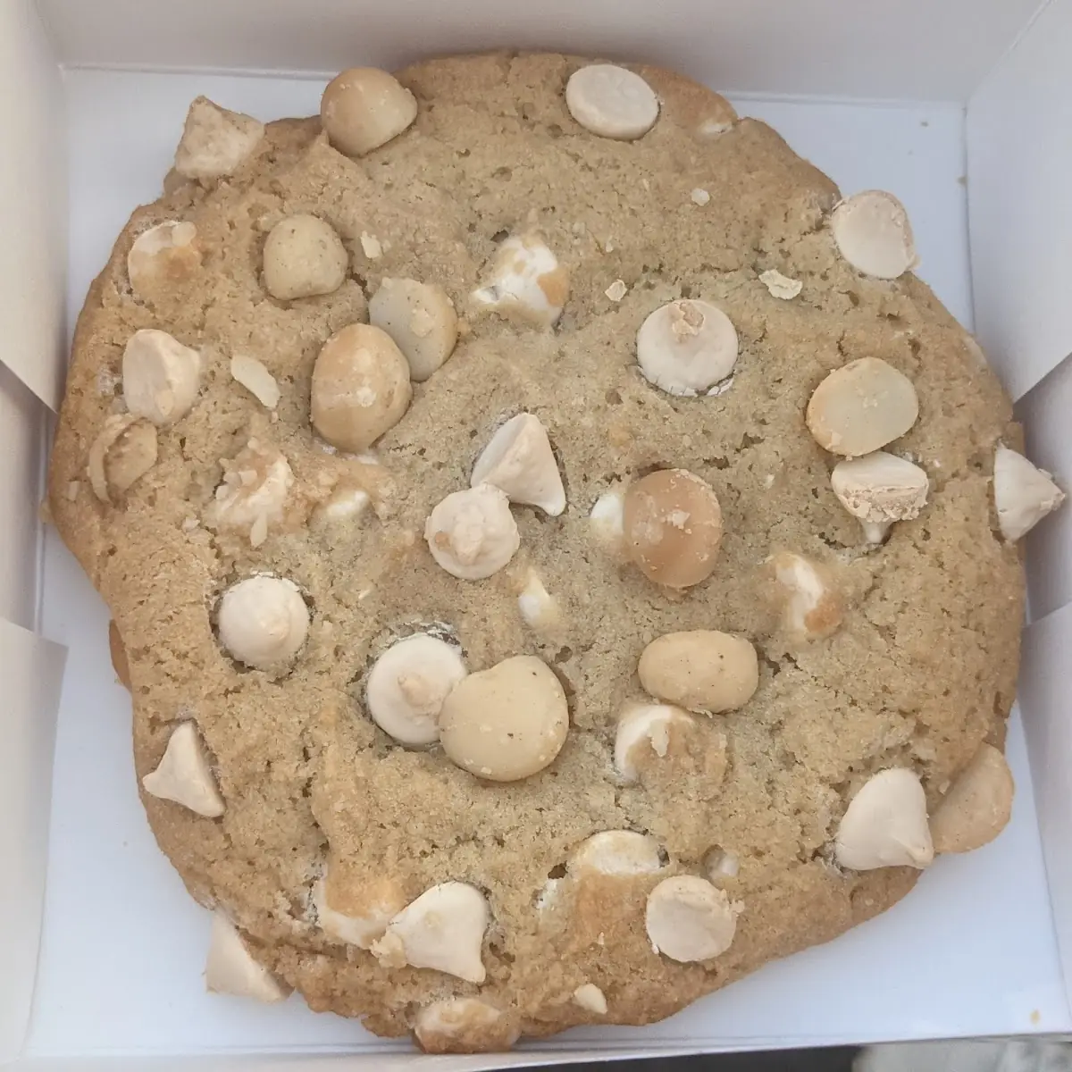Macadamia Nut
