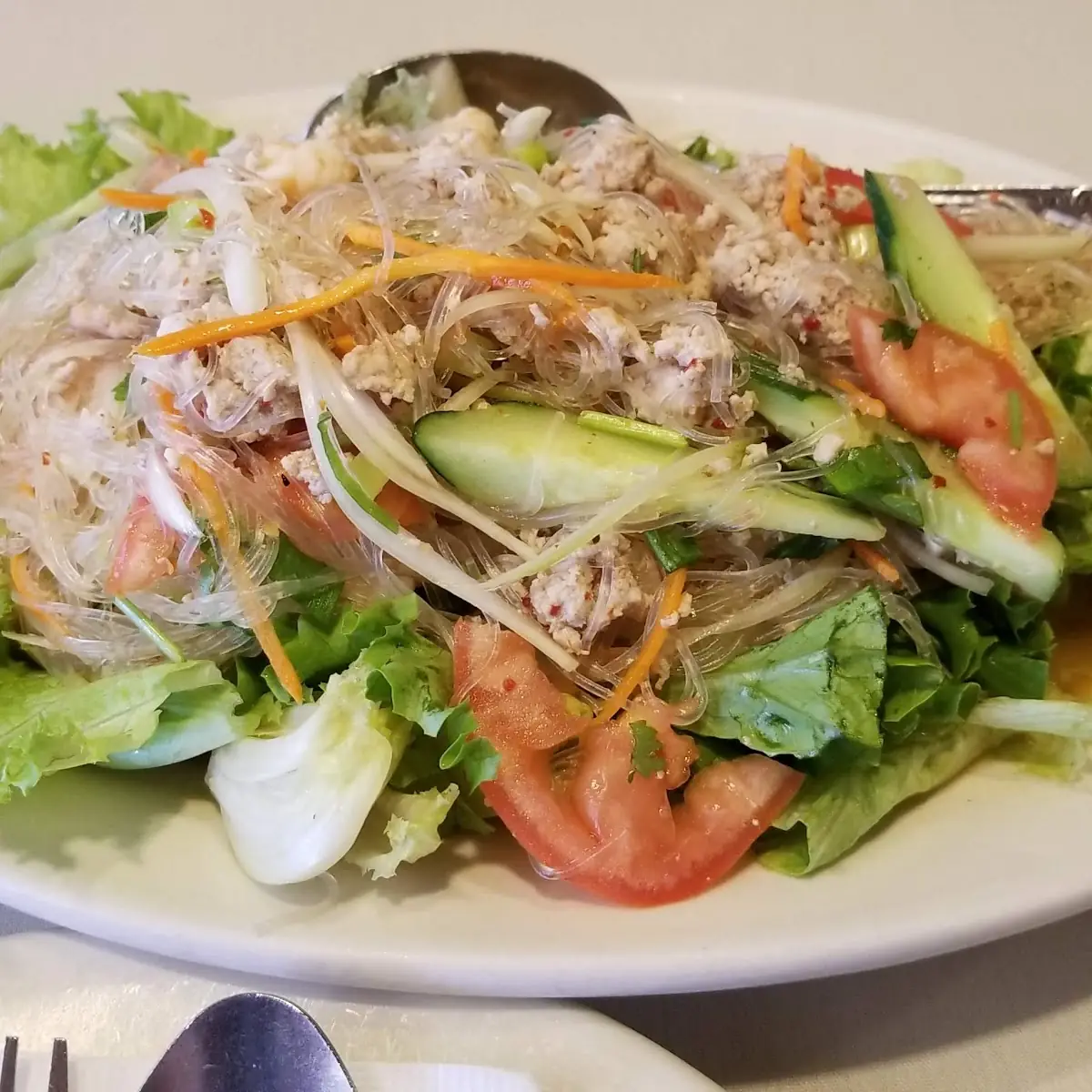 Cellophane Noodle Salad Yum Woon Sen