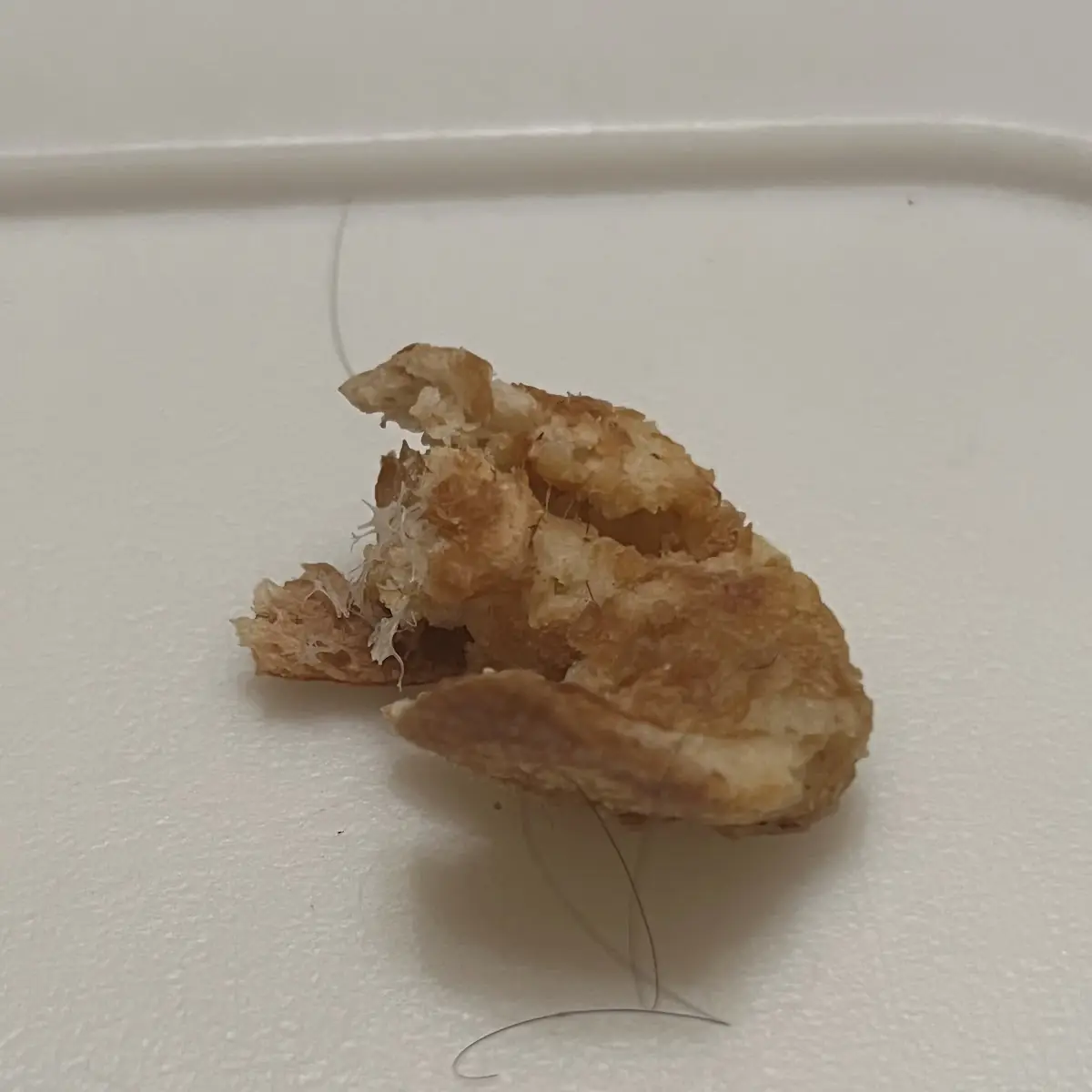 Hair in My Pizza