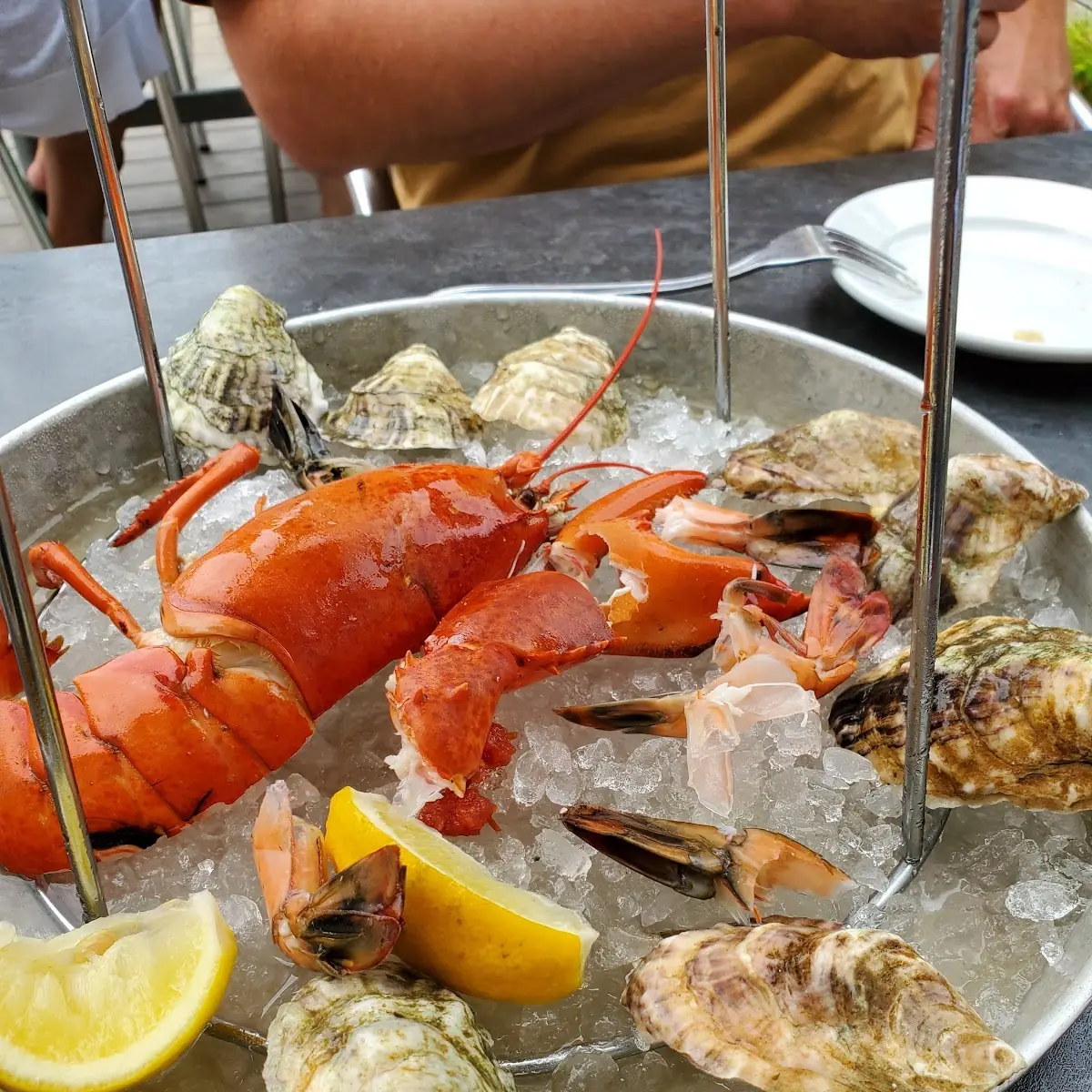 Oysters on the Half Shell and Lobster