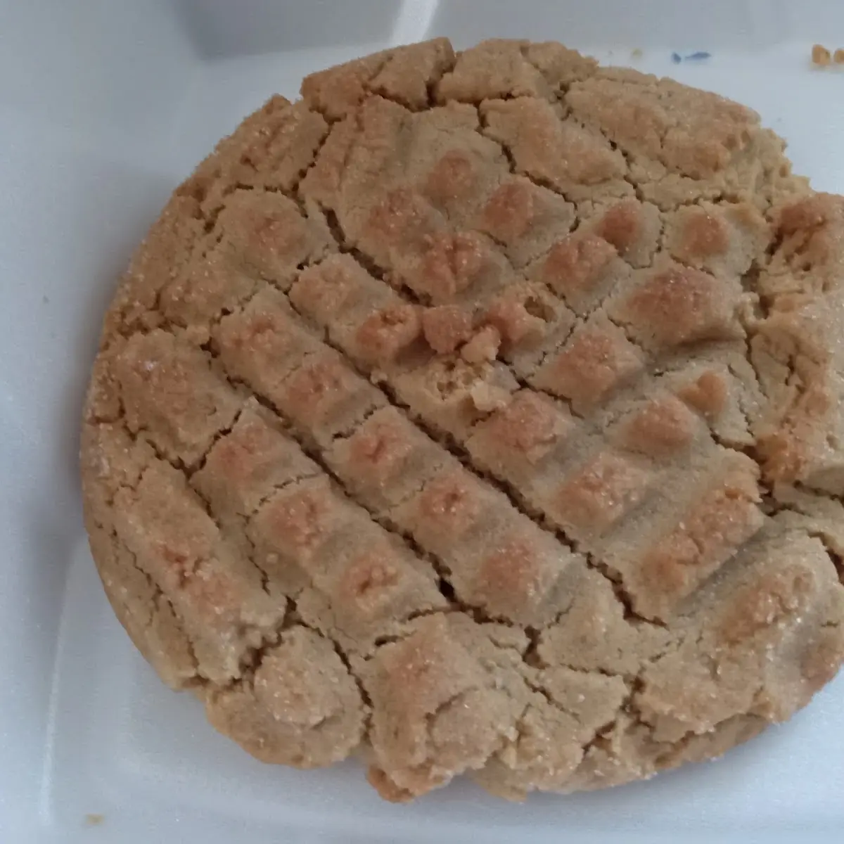 Peanut Butter Cookie