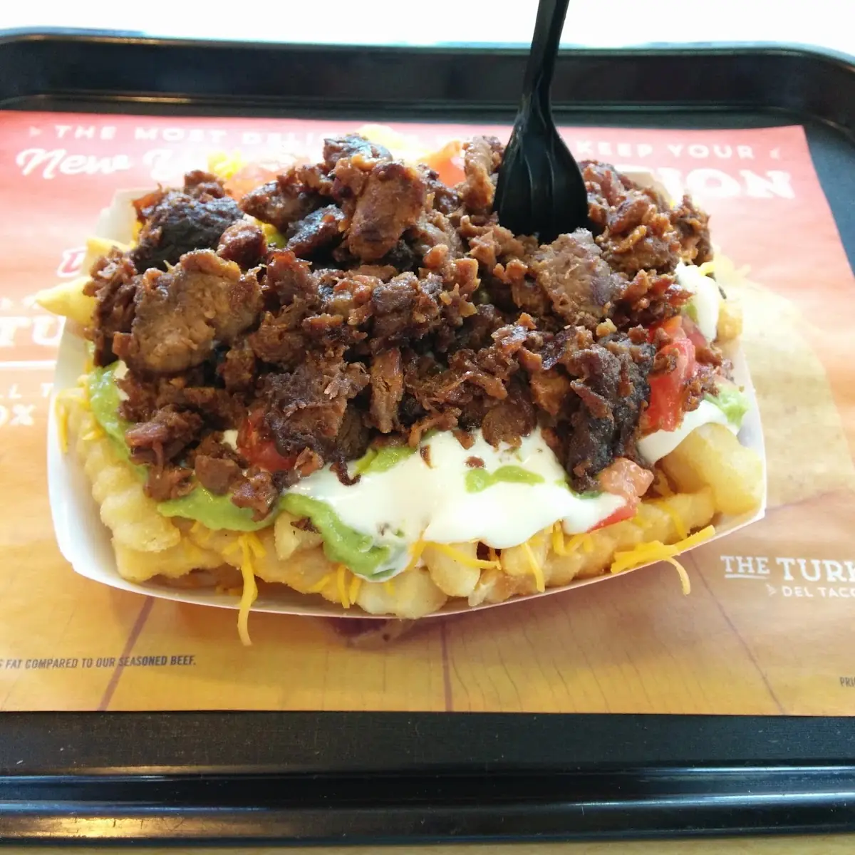 Carne Asada Fries