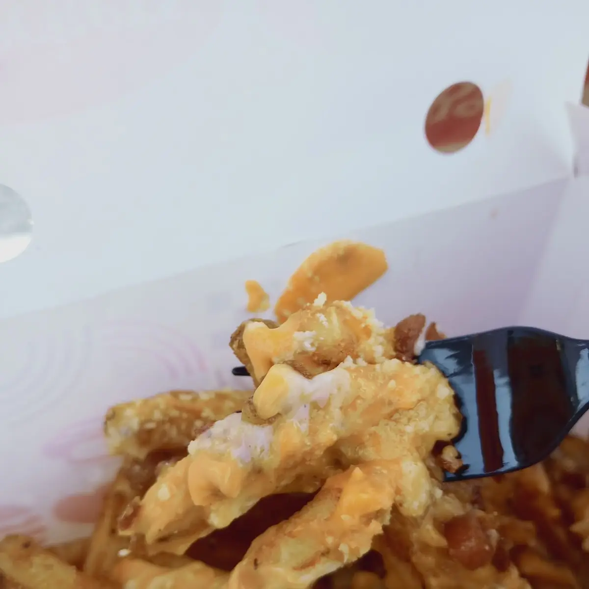 Garlic Parmesan Fries