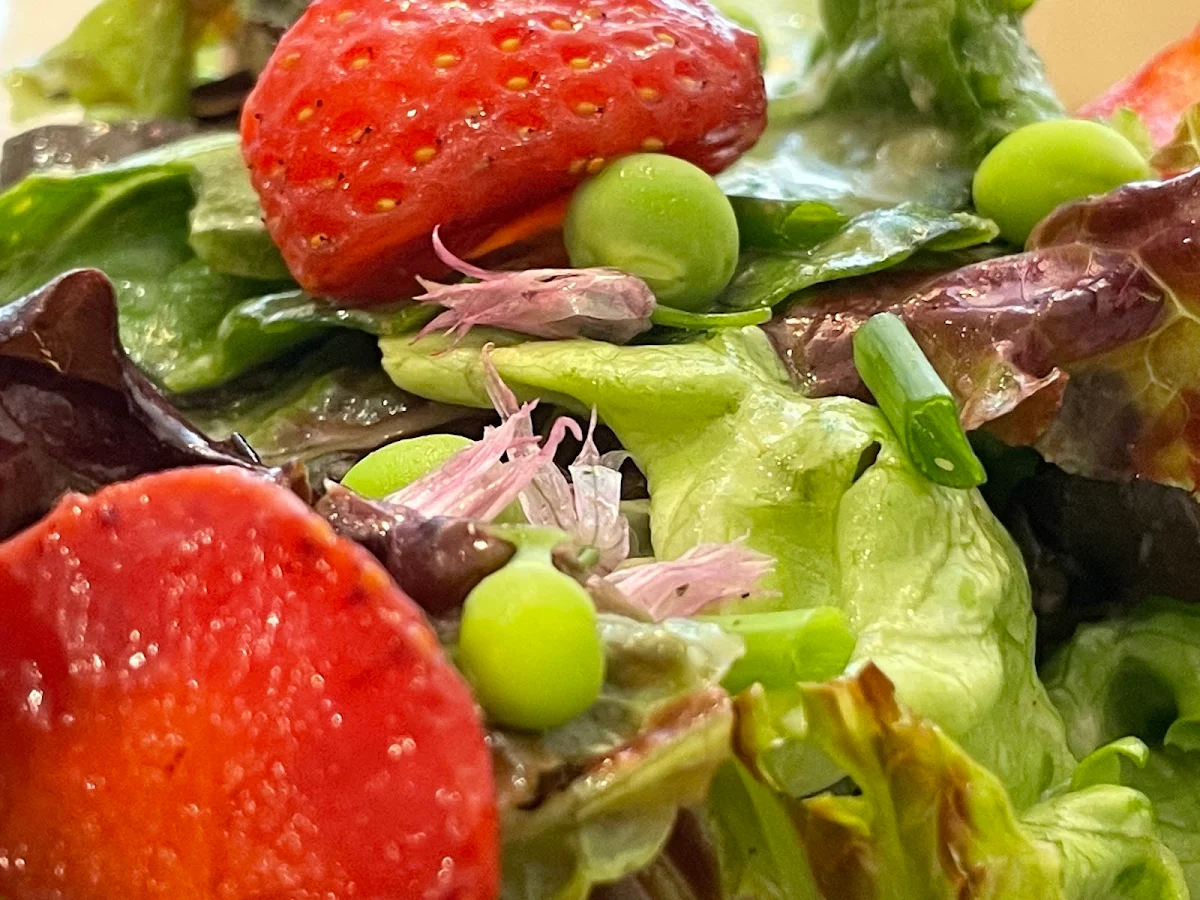 Mixed Greens Salad