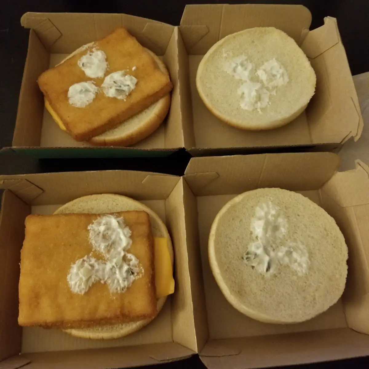 Fish Fillet