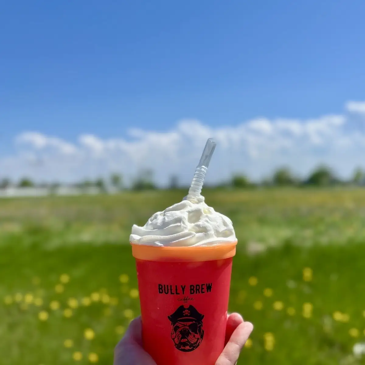 Bully Brew Belgian Waffles