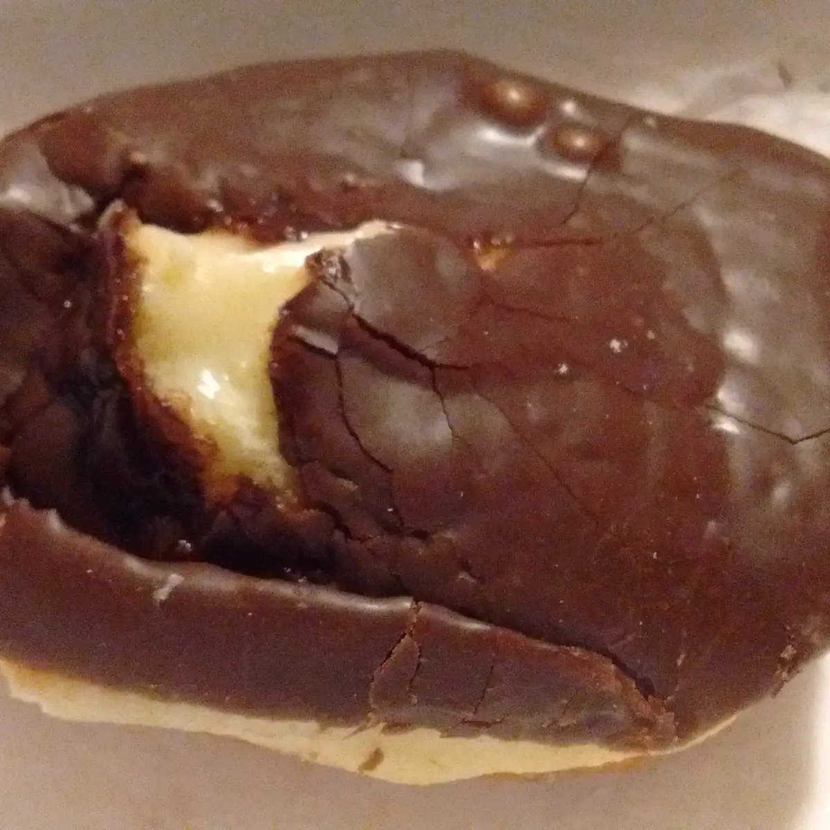 Boston Cream Donut