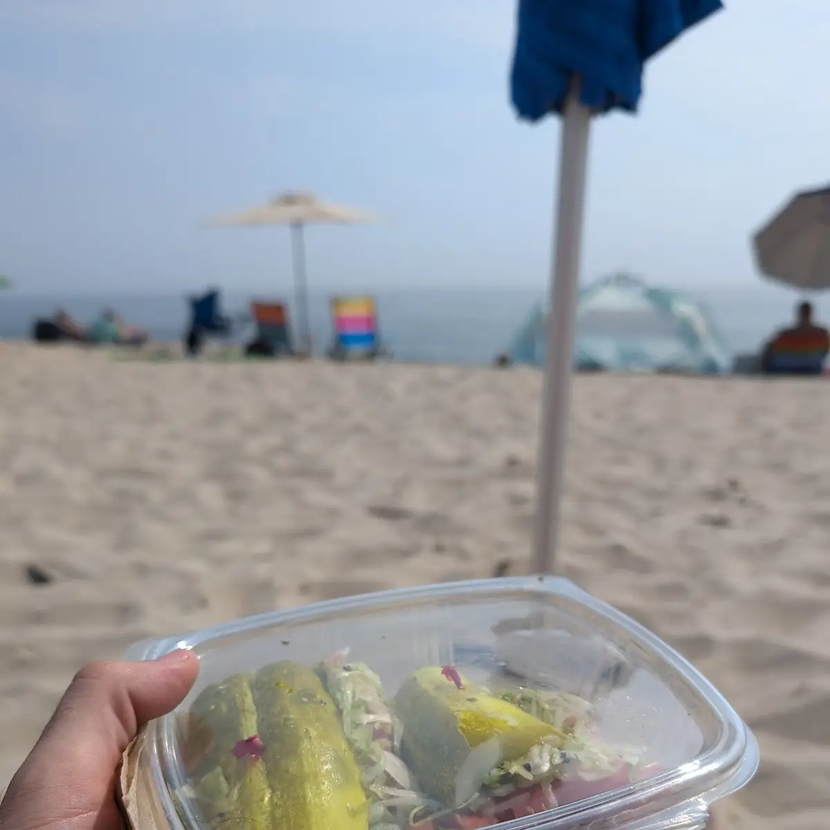 Italian Sub on a Pickle