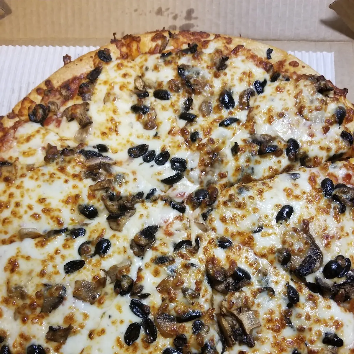 Black Olive and Mushroom Pizza
