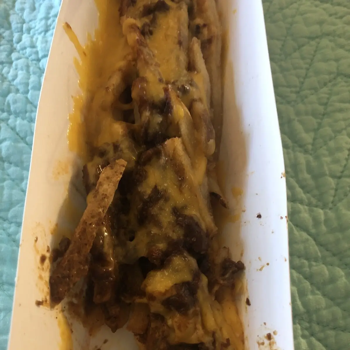 Chili Cheese Fries