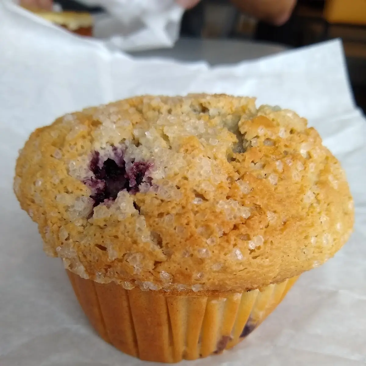 Blueberry Muffin