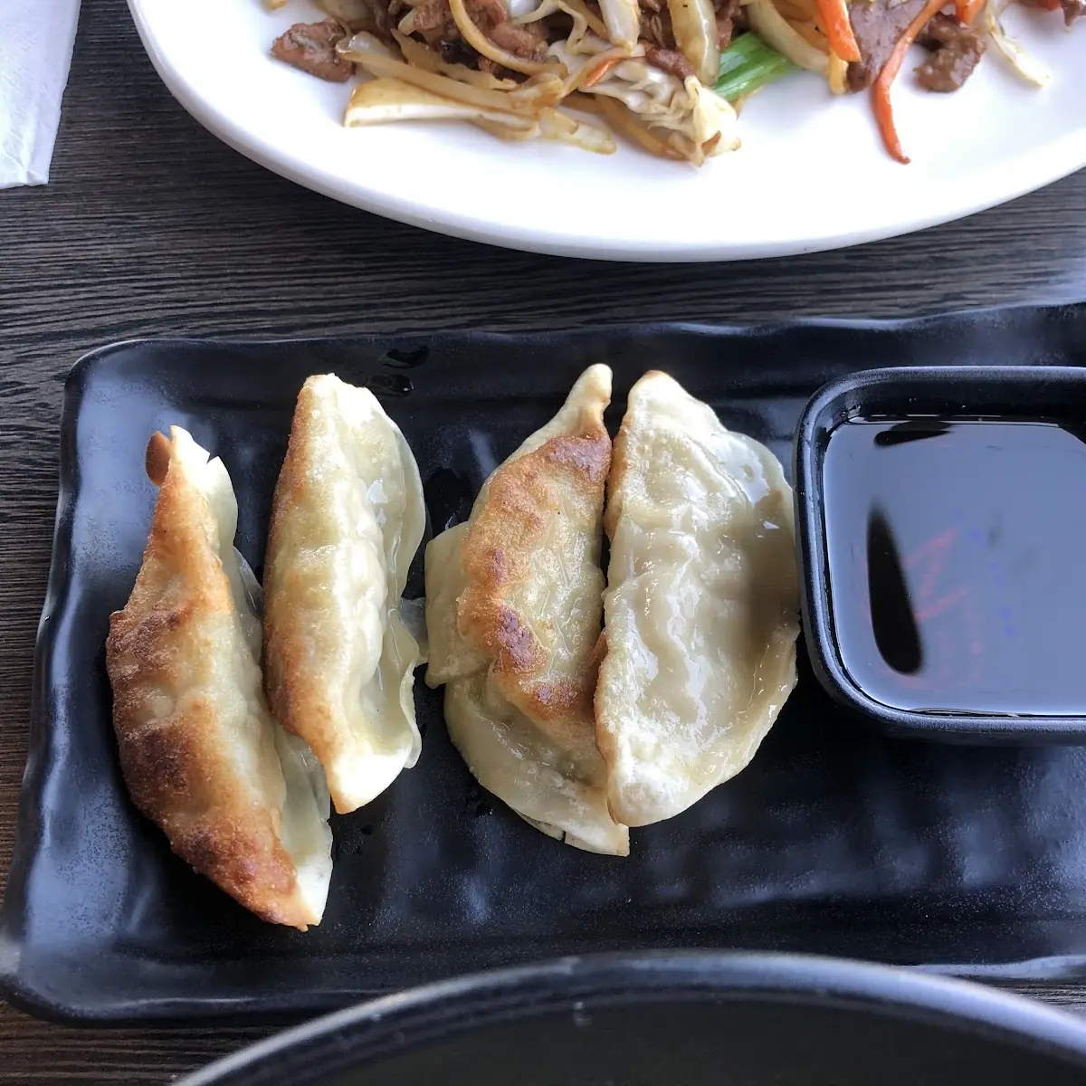 Pan Fried Dumplings 8